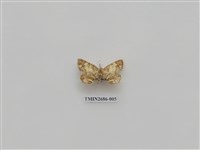 藏品(尺蛾231)的圖片